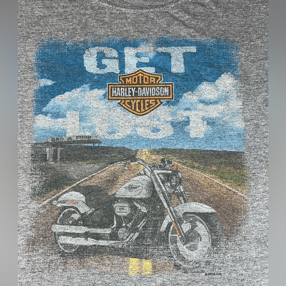 HARLEY DAVIDSON size Small T-SHIRT - Mens - tampa bay Florida Gray get lost